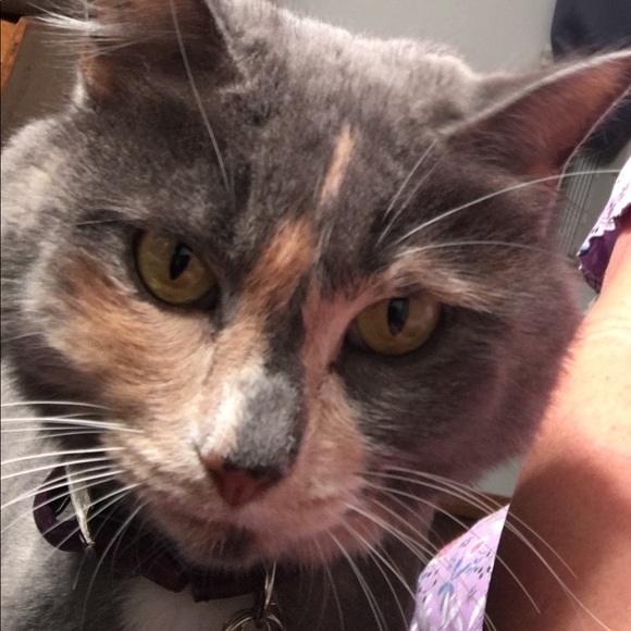 Meet your Posher, Kim - Picture 13 of 16